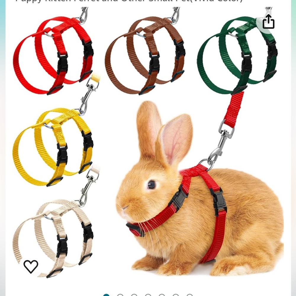 LIME GREEN SMALL PET LEASH